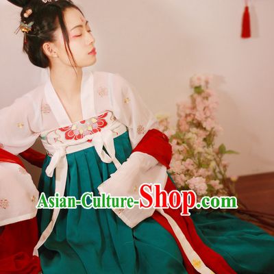 Traditional Chinese Tang Dynasty Hanfu Suits Clothes Dresses Skirt and Hair Jewelry Complete Set for Women