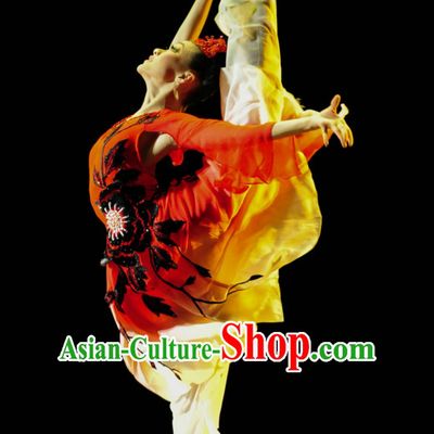 Chinese Classical Dance Costume Folk Dancing Costumes Traditional Chinese Dance Costumes Asian Dance Costumes Complete Set for Women