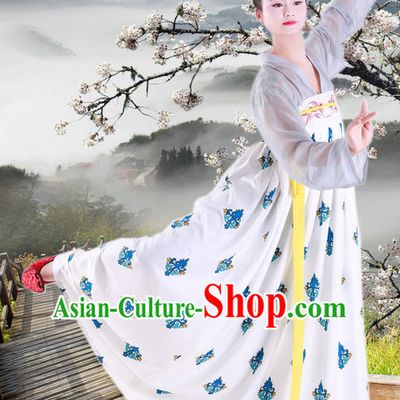 Hanfu Clothing Custom Traditional Chinese Hanfu Dreses Han Clothing Hanzhuang Historical Dress and Accessories Complete Set