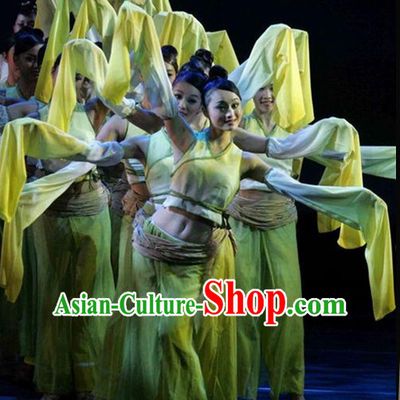 Ancient Chinese Classical Group Dancer Costumes Complete Set for Women