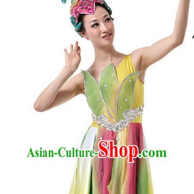Traditional Chinese Classical Flower Dance Costumes for Girls