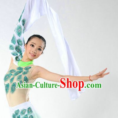 Traditional Chinese Classical Long Sleeves Dance Costumes for Girls