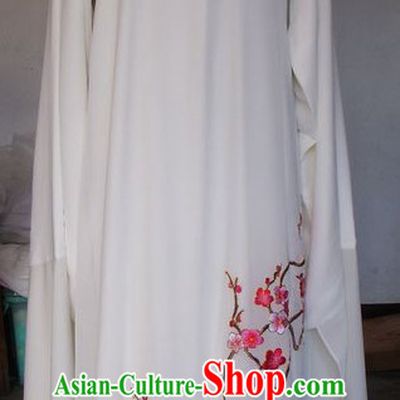 Chinese Traditional Ancient Dance Embroidered Costumes