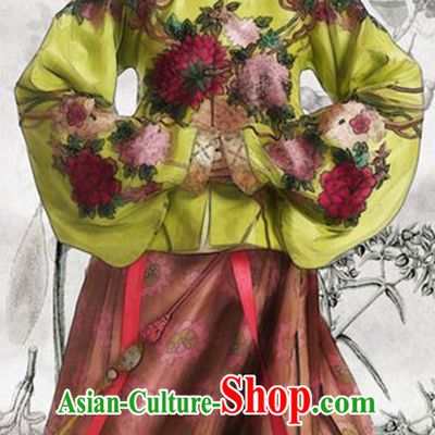 Chinese Ming Dynasty Women's Clothing _ Apparel Chinese Traditional Dress Theater and Reenactment Costumes and Headwear Complete Set