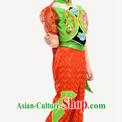 Traditional Chinese Costume Chinese Dance Costumes Complete Set for Kids Girls