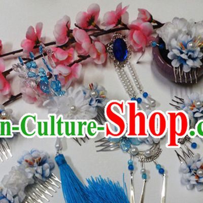 Blue Chinese Classical Fairy Headwear Crowns Hats Headpiece Hair Accessories Jewelry Set