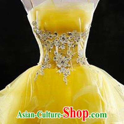 Traditional Chinese Classic Stage Performance Chorus Modern Ballet Dance Costumes Bubble Dress, Chorus Competition Costume, Compere Costumes for Women