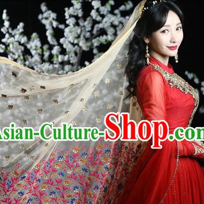 Traditional Indian Classical Folk Dance Dress Clothing Dresses Costume Classic Dancing Cultural Dances Belly Dance Costumes for Women