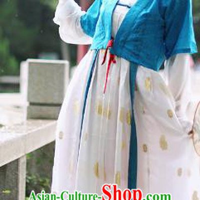 Traditional Chinese Tang Dynasty Princess Embroidered Costume, Asian China Ancient Hanfu Slip Skirt Clothing for Women