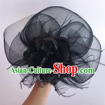 Handmade Baroque Hair Accessories Model Show Black Veil Feather Hair Stick, Bride Ceremonial Occasions Headwear for Women