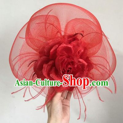 Handmade Baroque Hair Accessories Model Show Red Veil Feather Hair Stick, Bride Ceremonial Occasions Headwear for Women