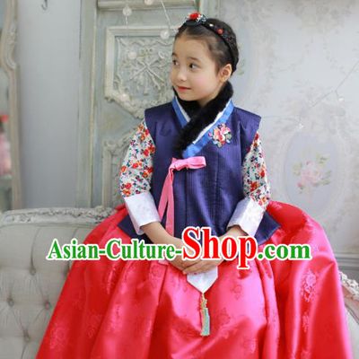 Traditional Korean Costumes Bride Formal Attire Ceremonial Red Dress, Korea Hanbok Court Embroidered Clothing for Kids