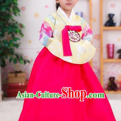 Traditional Korean Handmade Formal Occasions Costume Embroidered Baby Brithday Hanbok Blouse and Pink Dress Clothing for Girls