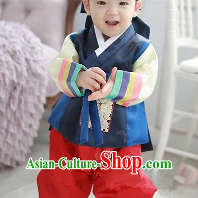 Asian Korean Traditional Handmade Formal Occasions Costume Baby Prince Embroidered Blue Hanbok Clothing for Boys