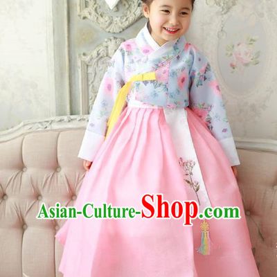 Asian Korean Traditional Handmade Formal Occasions Costume Princess Embroidered Blue Blouse and Pink Dress Hanbok Clothing for Girls