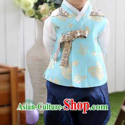 Asian Korean Traditional Handmade Formal Occasions Boys Embroidered Blue Costume Hanbok Clothing for Boys