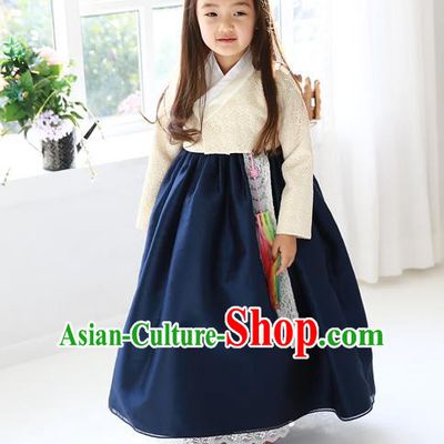 Asian Korean Traditional Handmade Formal Occasions Girls Embroidered White Blouse and Navy Dress Costume Hanbok Clothing for Kids