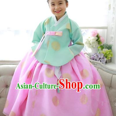 Traditional Korean National Handmade Formal Occasions Girls Hanbok Costume Embroidery Green Blouse and Pink Dress for Kids