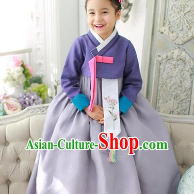Traditional Korean National Handmade Formal Occasions Girls Hanbok Costume Embroidered Purple Blouse and Grey Dress for Kids