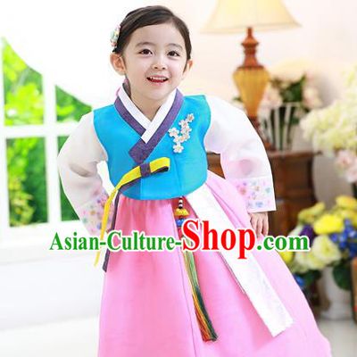 Traditional Korean National Handmade Formal Occasions Girls Hanbok Costume Embroidered Blue Blouse and Pink Dress for Kids