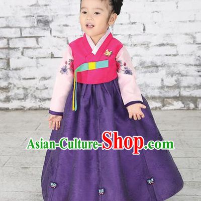 Traditional Korean National Handmade Formal Occasions Girls Hanbok Costume Embroidered Red Blouse and Purple Dress for Kids