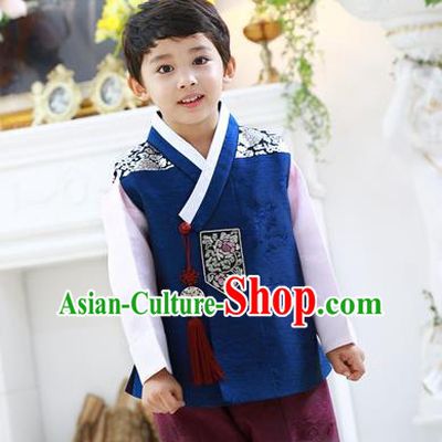 Asian Korean National Traditional Handmade Formal Occasions Boys Embroidery Deep Blue Hanbok Costume Complete Set for Kids