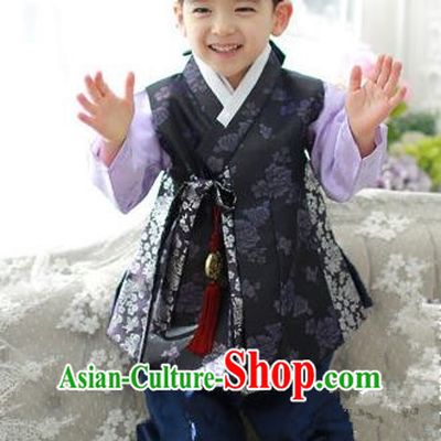 Asian Korean National Traditional Handmade Formal Occasions Boys Embroidery Purple Hanbok Costume Complete Set for Kids