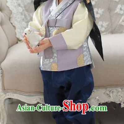 Asian Korean National Traditional Handmade Formal Occasions Boys Embroidery Lilac Hanbok Costume Complete Set for Kids