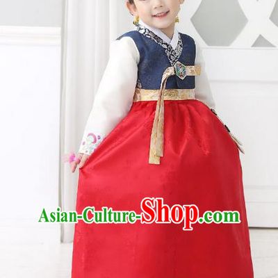 Traditional Korean National Handmade Formal Occasions Girls Palace Hanbok Costume Embroidered Navy Blouse and Red Dress for Kids