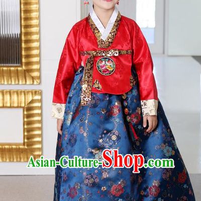 Asian Korean National Traditional Handmade Formal Occasions Girls Embroidery Hanbok Costume Red Blouse and Blue Dress Complete Set for Kids