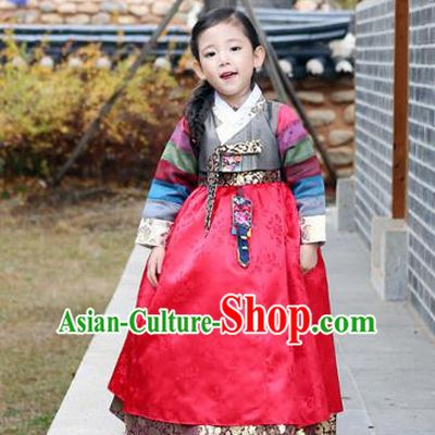 Asian Korean National Traditional Handmade Formal Occasions Girls Embroidery Hanbok Costume Grey Blouse and Red Dress Complete Set for Kids