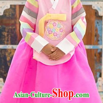 Asian Korean National Traditional Handmade Formal Occasions Girls Embroidery Hanbok Costume Pink Blouse and Dress Complete Set for Kids