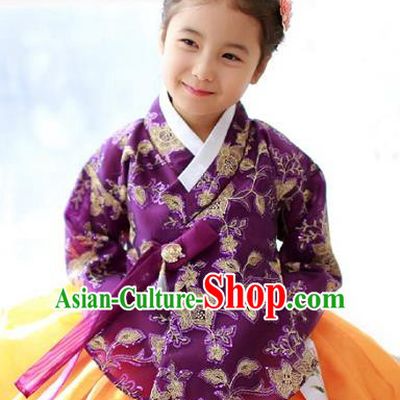 Korean National Handmade Formal Occasions Girls Embroidery Hanbok Costume Purple Blouse for Kids