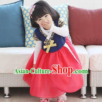 Traditional Korean National Handmade Formal Occasions Girls Embroidery Hanbok Costume Blue Blouse and Red Dress Complete Set for Kids