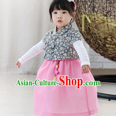 Traditional Korean National Handmade Formal Occasions Girls Embroidery Hanbok Costume Blue Blouse and Purple Dress Complete Set for Kids
