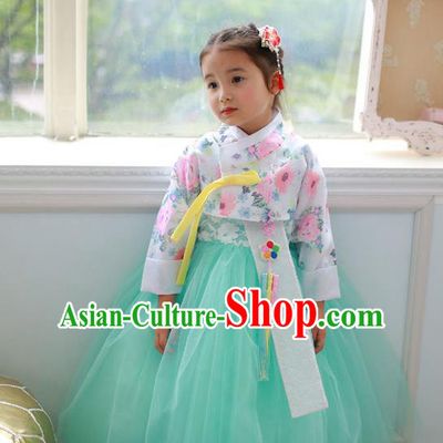 Korean National Handmade Formal Occasions Printing Blouse and Green Veil Dress, Asian Korean Girls Palace Hanbok Costume for Kids