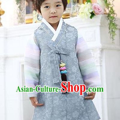 Asian Korean National Traditional Handmade Formal Occasions Boys Embroidery Grey Hanbok Costume Complete Set for Kids