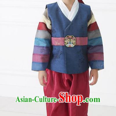 Asian Korean National Traditional Handmade Formal Occasions Boys Embroidery Navy Hanbok Costume Complete Set for Kids