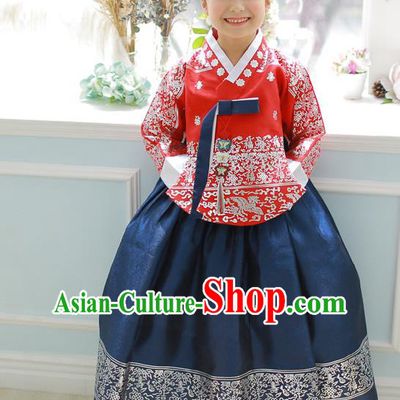Asian Korean National Handmade Formal Occasions Embroidered Red Blouse and Blue Dress Hanbok Costume for Kids