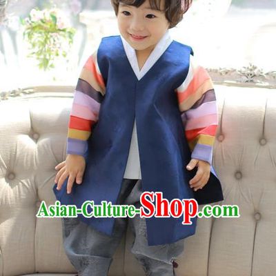Asian Korean National Handmade Formal Occasions Embroidered Palace Prince Navy Hanbok Costume Complete Set for Boys