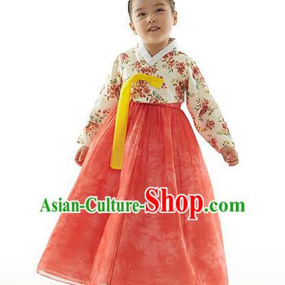 Asian Korean National Handmade Formal Occasions Printing Blouse and Pink Dress Palace Hanbok Costume for Kids