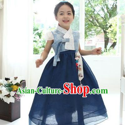 Asian Korean National Handmade Formal Occasions Wedding Bride Clothing Embroidered Blue Blouse and Dress Palace Hanbok Costume for Kids