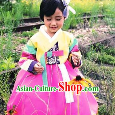 Asian Korean National Handmade Formal Occasions Wedding Bride Clothing Embroidered Yellow Blouse and Pink Dress Palace Hanbok Costume for Kids