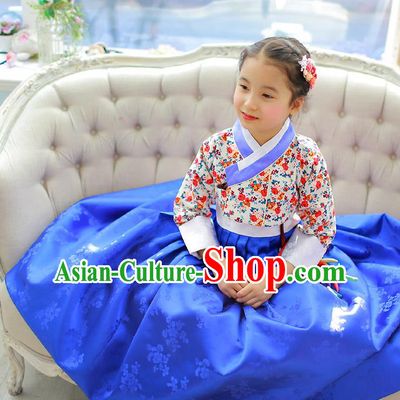 Korean National Handmade Formal Occasions Girls Hanbok Costume Embroidered Blouse and Blue Dress for Kids