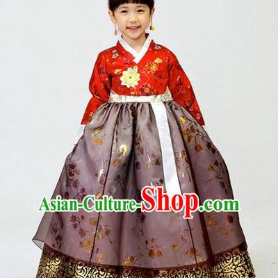Asian Korean National Handmade Formal Occasions Wedding Girls Clothing Embroidered Red Blouse and Purple Dress Palace Hanbok Costume for Kids