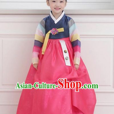 Asian Korean National Handmade Formal Occasions Wedding Girls Clothing Embroidered Navy Blouse and Pink Dress Palace Hanbok Costume for Kids