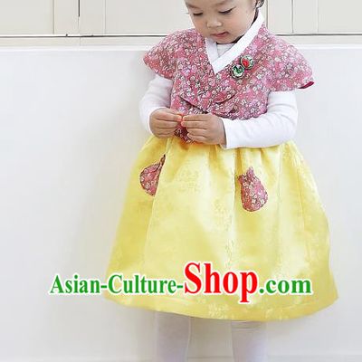 Asian Korean National Handmade Formal Occasions Wedding Girls Clothing Embroidered Pink Blouse and Yellow Dress Palace Hanbok Costume for Kids