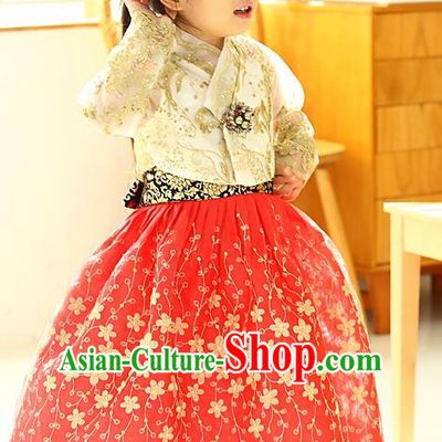Korean National Handmade Formal Occasions Girls Hanbok Costume Embroidered Yellow Lace Blouse and Red Dress for Kids