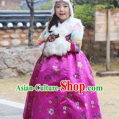 Asian Korean National Handmade Formal Occasions Wedding Girls Clothing White Vest and Rosy Dress Palace Hanbok Costume for Kids