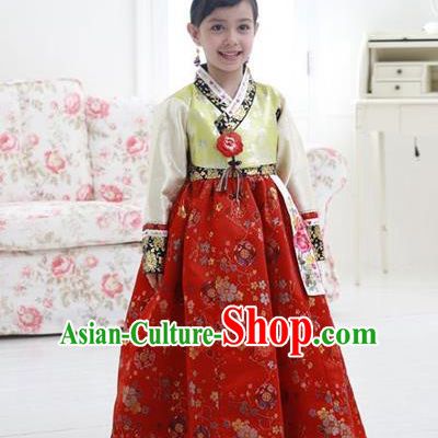Asian Korean National Handmade Formal Occasions Wedding Girls Clothing Embroidered Green Blouse and Red Dress Palace Hanbok Costume for Kids